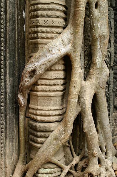 Angkor 20.JPG